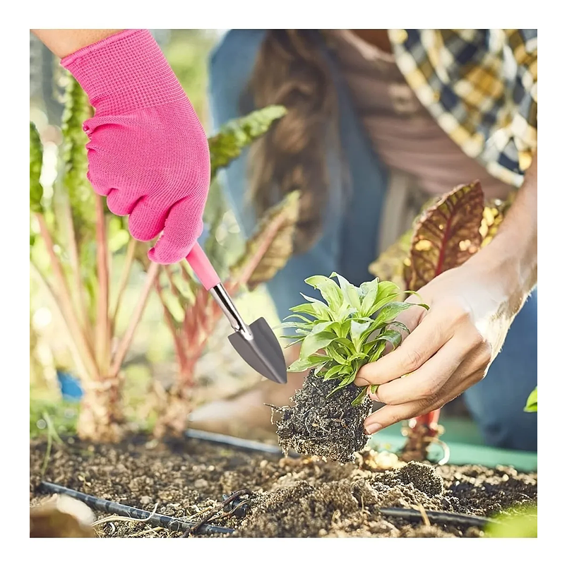 Kit Herramientas Bonsái Chic Suculentas x15 Piezas Más Estuche 6