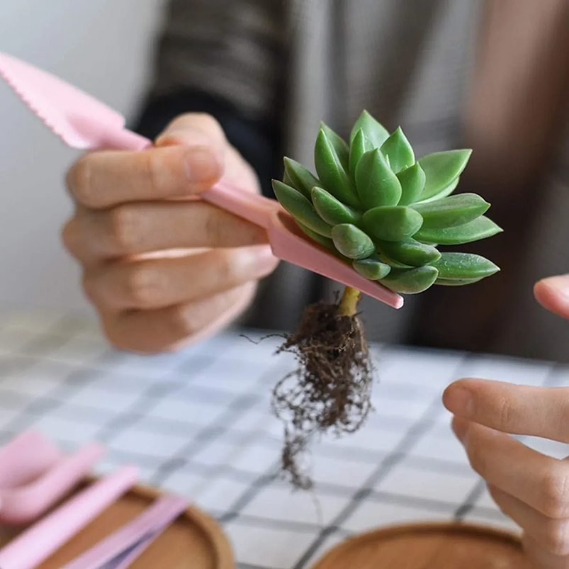 Kit Siembra Herramientas Jardín, Cactus, Plantas x12 Piezas 3