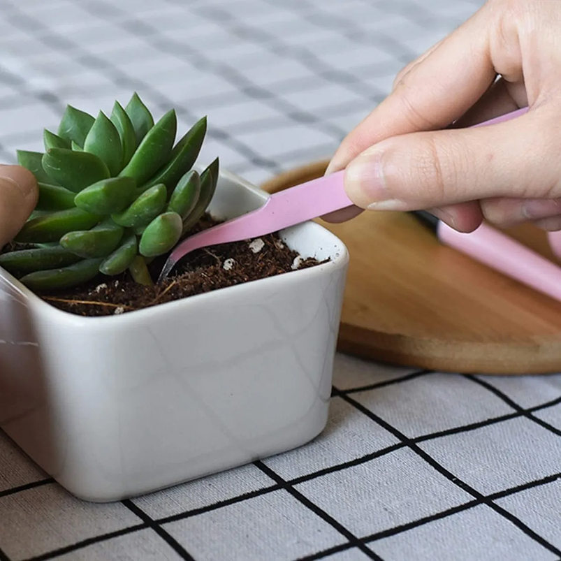 Kit Siembra Herramientas Jardín, Cactus, Plantas x12 Piezas 5