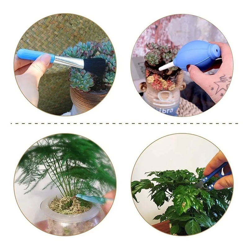 Kit Siembra Herramientas Jardín, Cactus, Plantas x12 Piezas 6