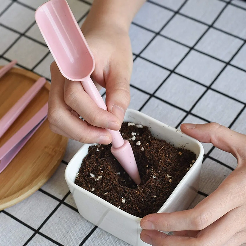 Kit Siembra Herramientas Jardín, Cactus, Plantas x12 Piezas 9