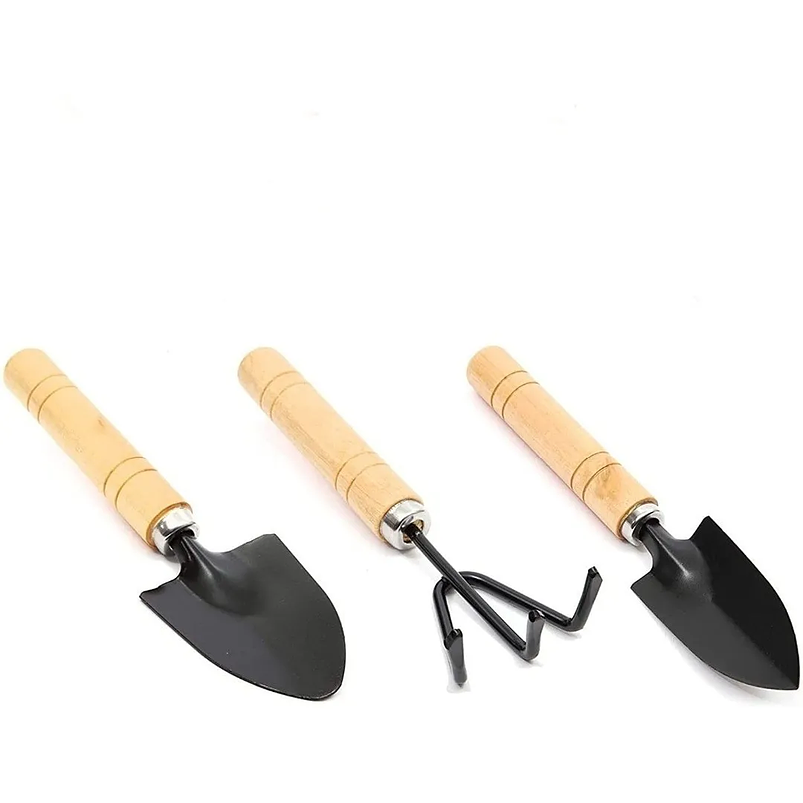 Juego Herramientas x3 Piezas Jardín Cuidado Suculenta Madera 10