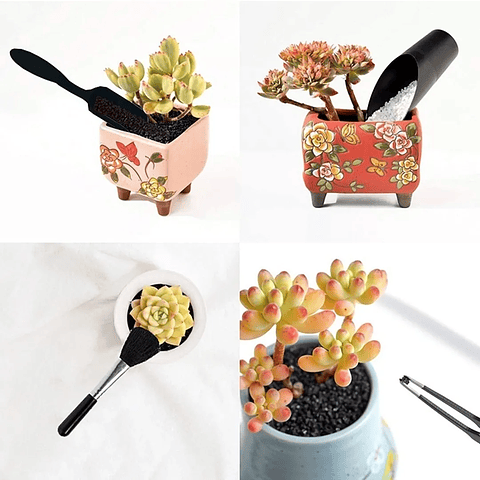 Kit Herramientas Bonsái x14 Piezas Premium Cactus Suculenta