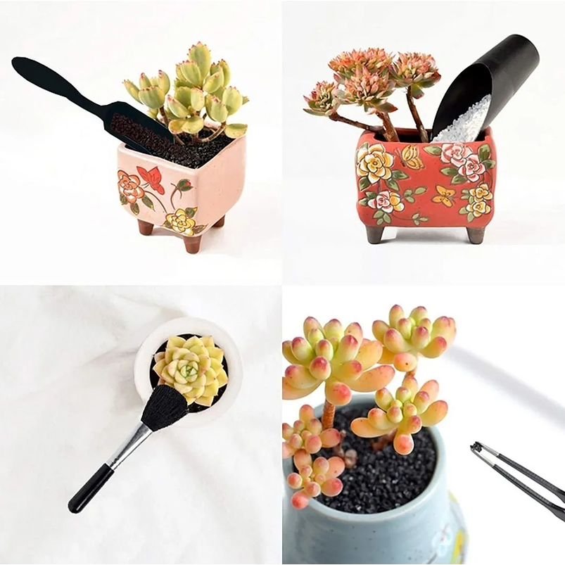 Kit Herramientas Bonsái x14 Piezas Premium Cactus Suculenta 2