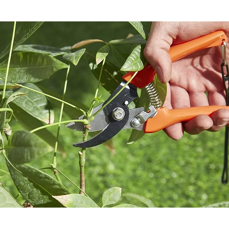 Kit Herramientas Jardinería x5 Piezas En Acero Inoxidable 4