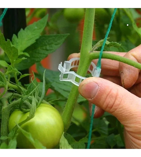 Clip Gancho Amarre De Plantas/hortalizas Apoyo Plástico x20 Unidades