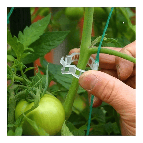 Clip Gancho Amarre De Plantas/hortalizas Apoyo Plástico x20 Unidades