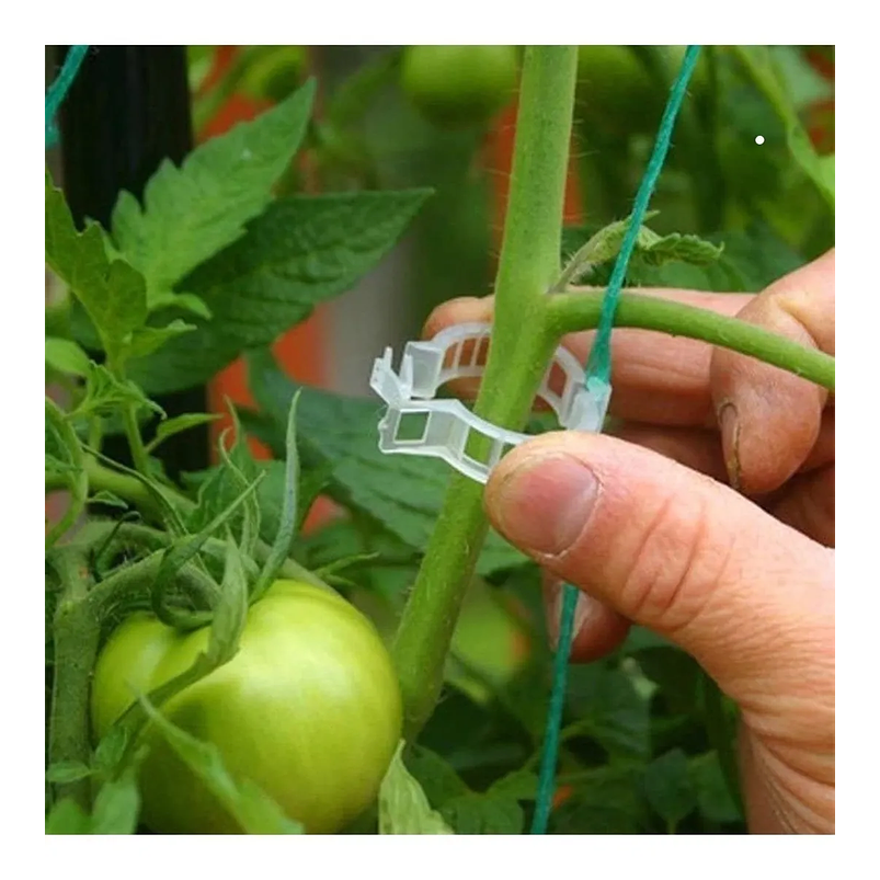 Clip Gancho Amarre De Plantas/hortalizas Apoyo Plástico x20 Unidades 1