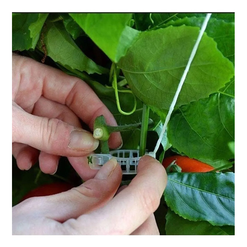 Clip Gancho Amarre De Plantas/hortalizas Apoyo Plástico x20 Unidades 3