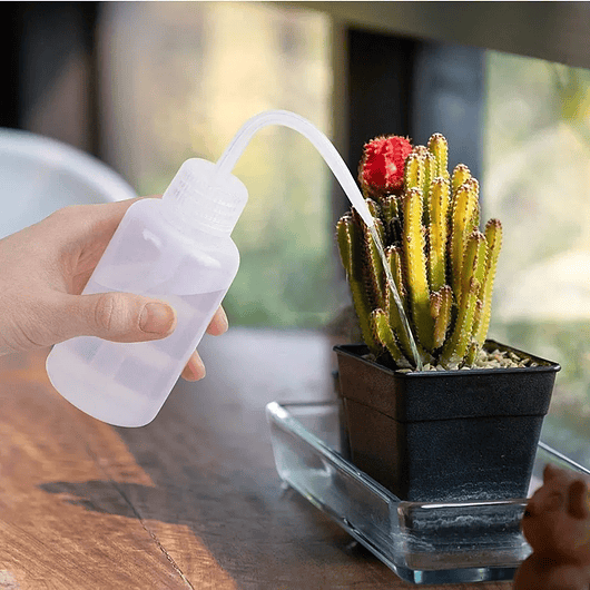 Kit Herramientas De Jardín x13 Piezas Cactus y Suculentas 4