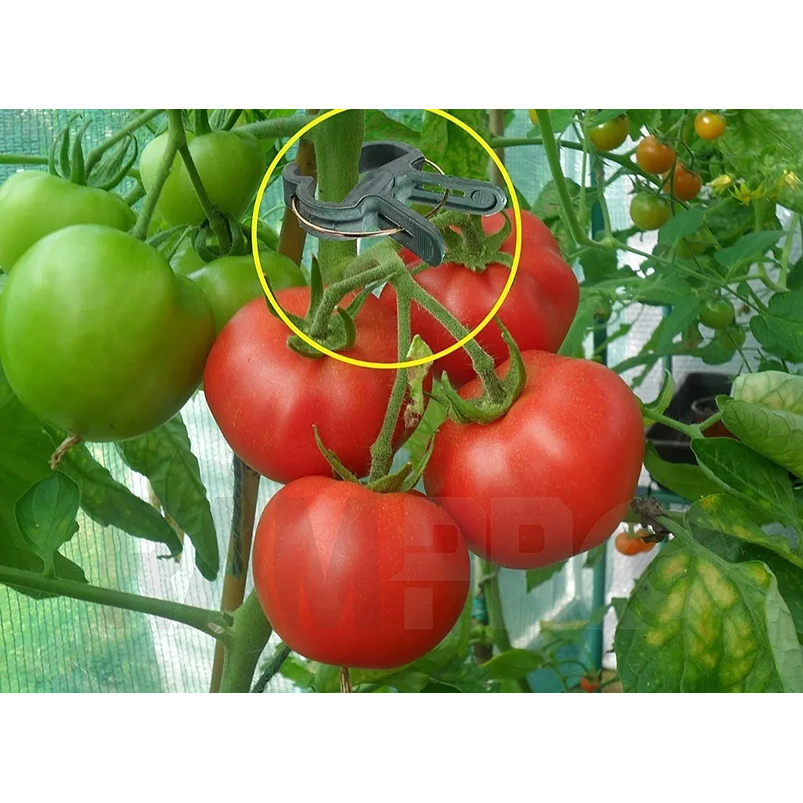 Clips Gancho Apoyo De Plantas De Jardín, Hortalizas x20 Unidades 4