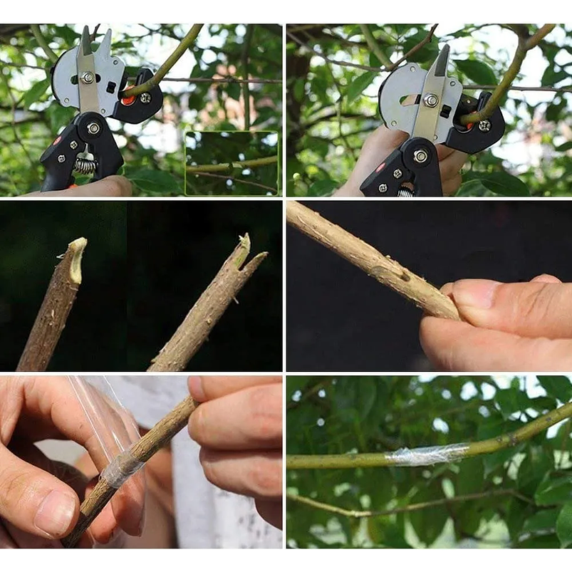 Kit Injerto De Plantas Arboles y Corte 4