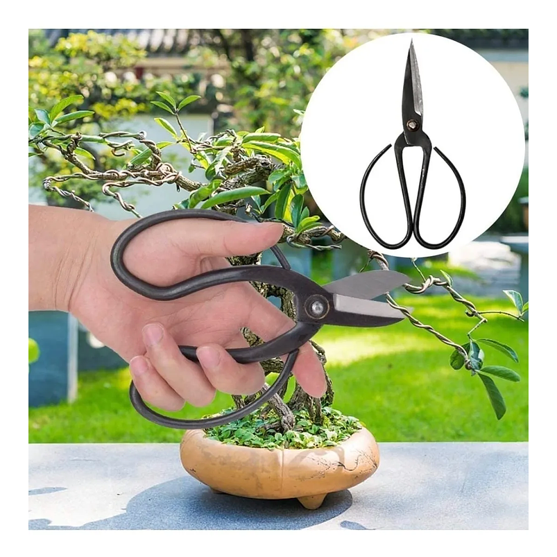 Kit Herramientas Premium Bonsái-cactus x15 Piezas Más Estuche 4