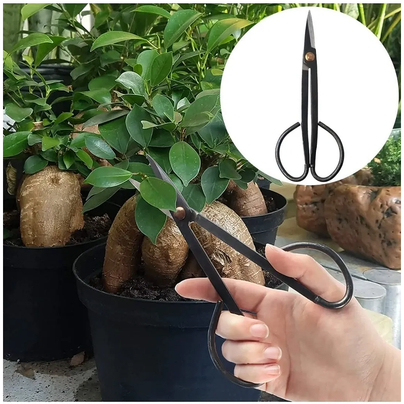 Kit Herramientas Premium Bonsái-cactus x15 Piezas Más Estuche 6