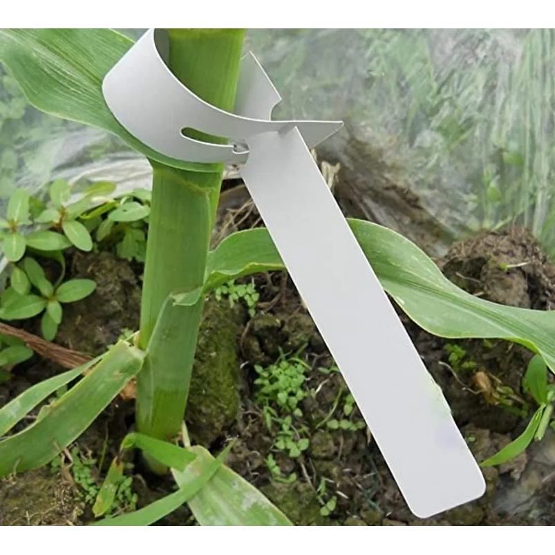 Etiquetas Plantas Plástica Marcar Bandeja Vivero x100 Colgar 2