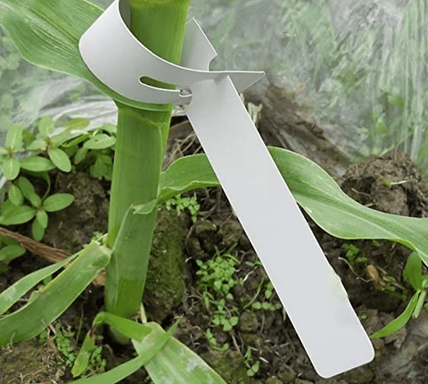 Etiquetas Plantas Plástica Marcar Bandeja Vivero x50 Colgar