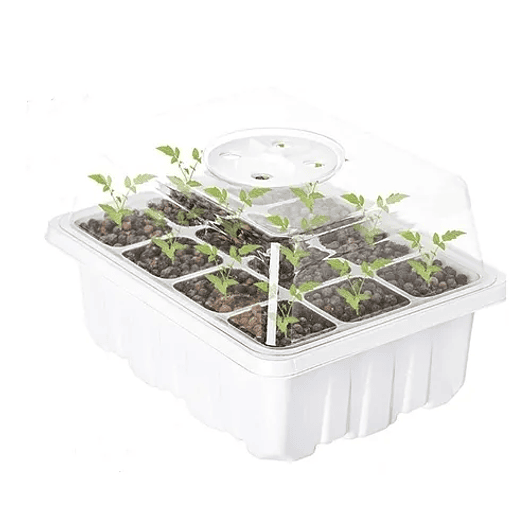 Bandeja Germinación Semillas x01 Unidad Cúpula Plástica 15