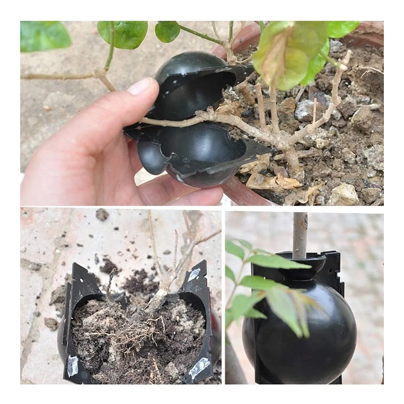 Esqueje Bola Plásticas Propagación x5 Raíz Enraizamiento T:S  4