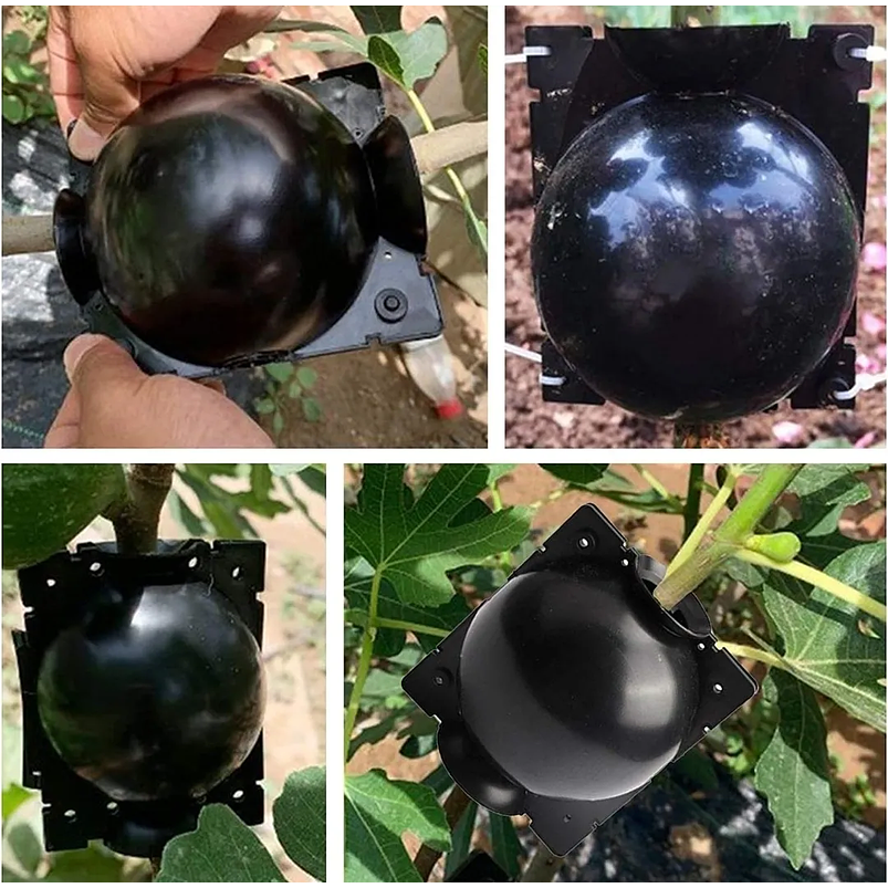 Esqueje Bola Plásticas Propagación x5 Raíz Enraizamiento T:S  7