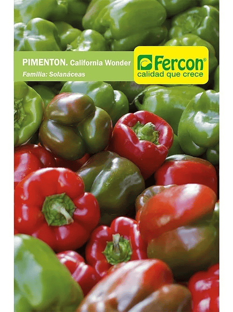 Semillas De Pimentón California Hortalizas Sobre Pureza 99% 