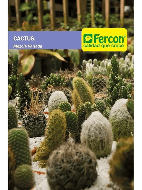 Semillas De Cactus Mezcla Variada 99% Pureza