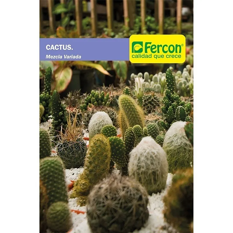 Semillas De Cactus Mezcla Variada 99% Pureza 1
