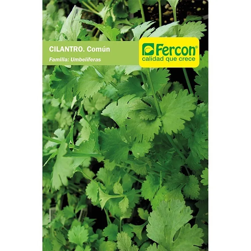 Semillas De Cilantro Común Hortalizas Sobre x5gr 1