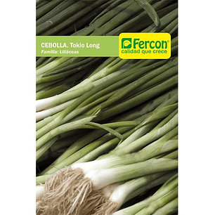 Semillas De Cebolla Larga Hortaliza Sobre