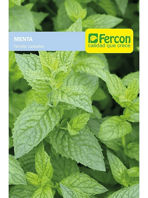 Semillas De Menta Aromática 99% Pureza x4,8gr
