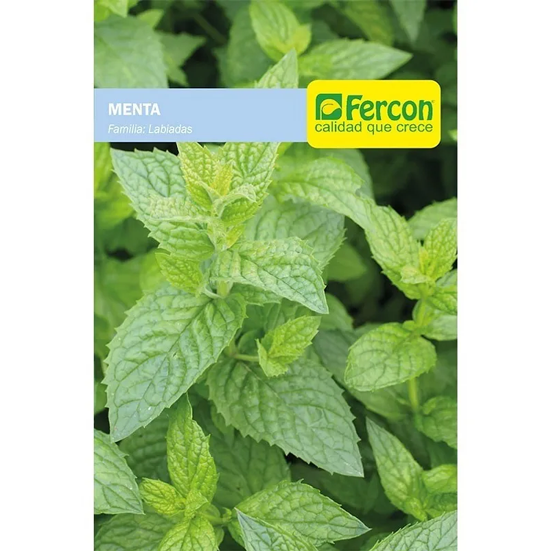 Semillas De Menta Aromática 99% Pureza x4,8gr 1