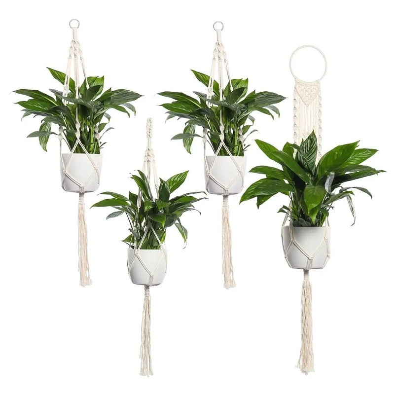 Juego Macramé Elegans x4 Unidades Para Macetas-colgar 100% Algodón 1