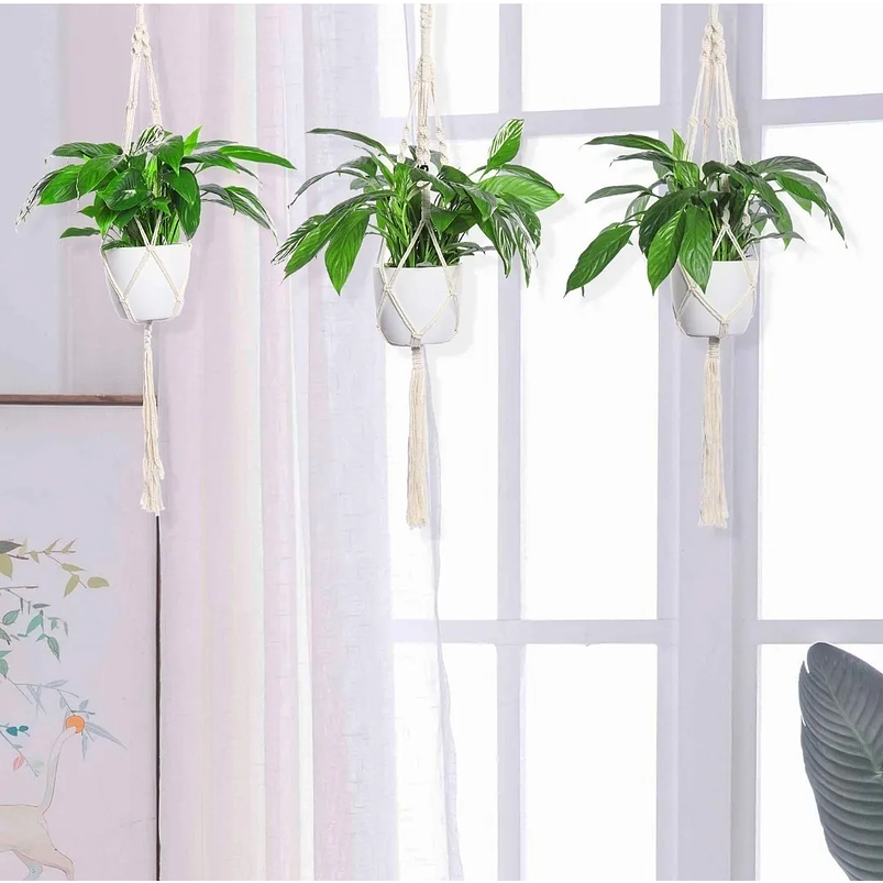 Juego Macramé x6 Unidades Para Macetas colgar 100% Algodón 2