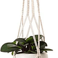Macramé x01 Unidad Para Macetas-colgar 100% Algodón x1 Metro Largo - Miniatura 1