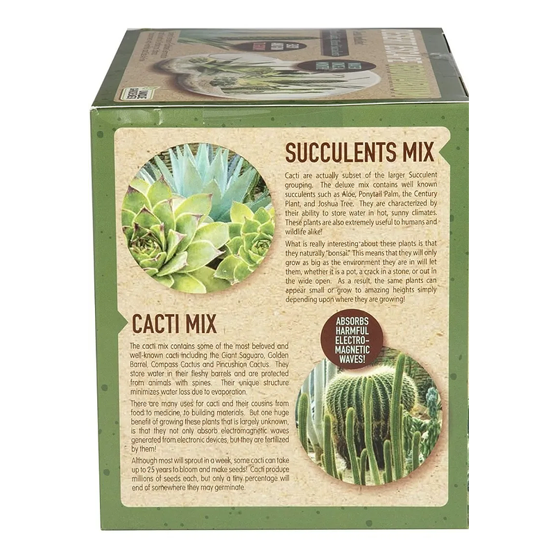 Terrario De Cristal Diseño Doble Esfera 3