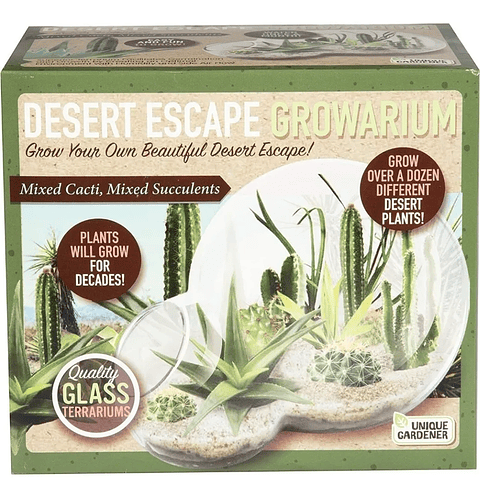 Terrario De Cristal Diseño Doble Esfera