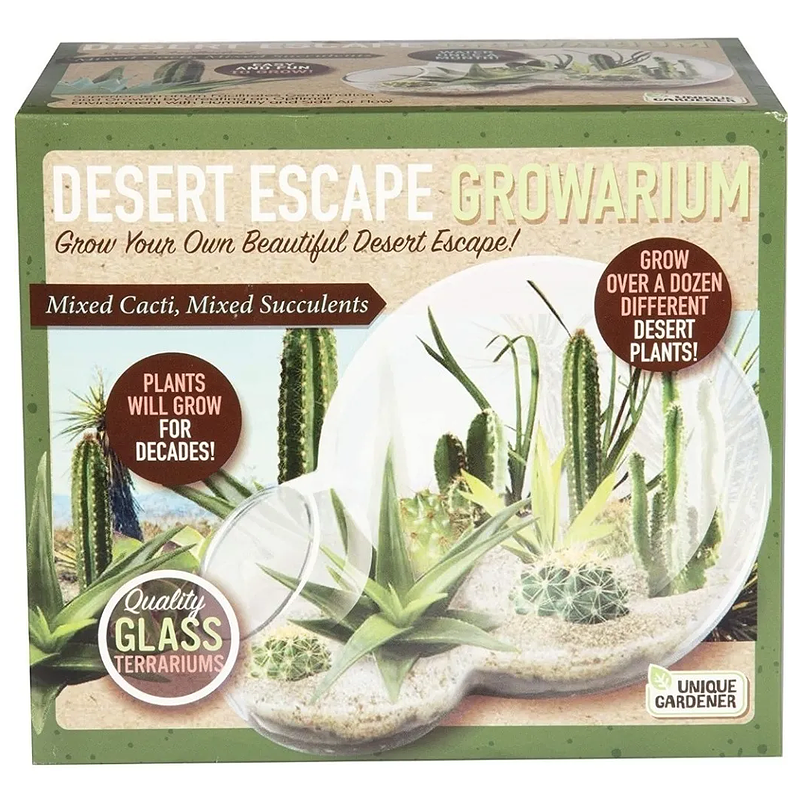 Terrario De Cristal Diseño Doble Esfera 1