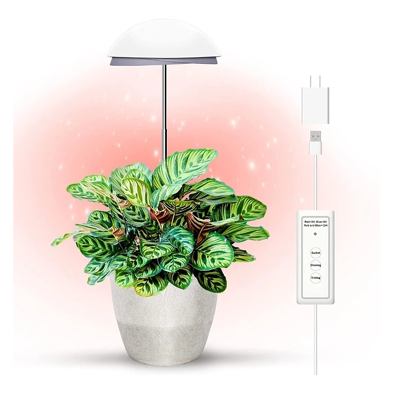 Luz Led Cultivo Crecimiento Plantas Interior 20w 5 Niveles Luz: Blanco Voltaje:110V 1