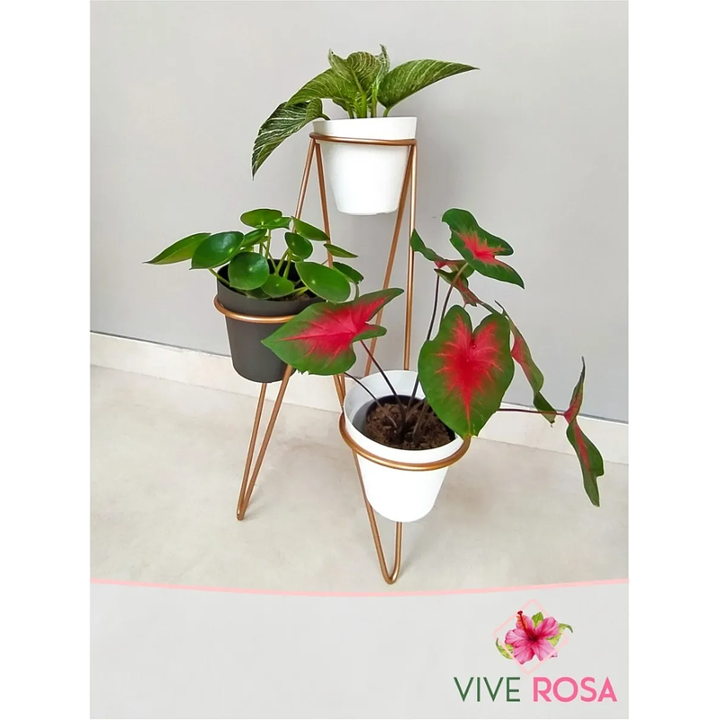 Portamateras Plantas 3 Puestos Dorado Mate o Negro Triangulo 2