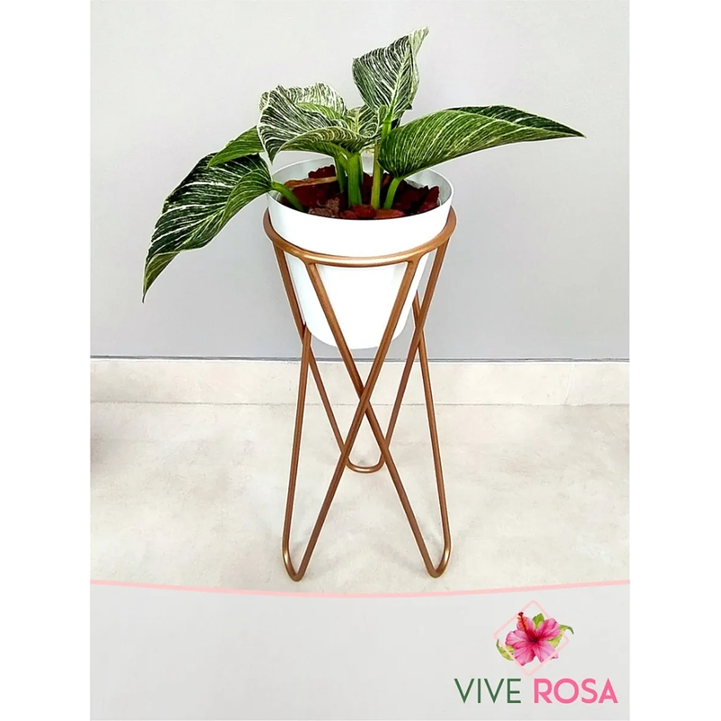 Portamateras Plantas Dorado Mate Base Triangular Pequeño 1