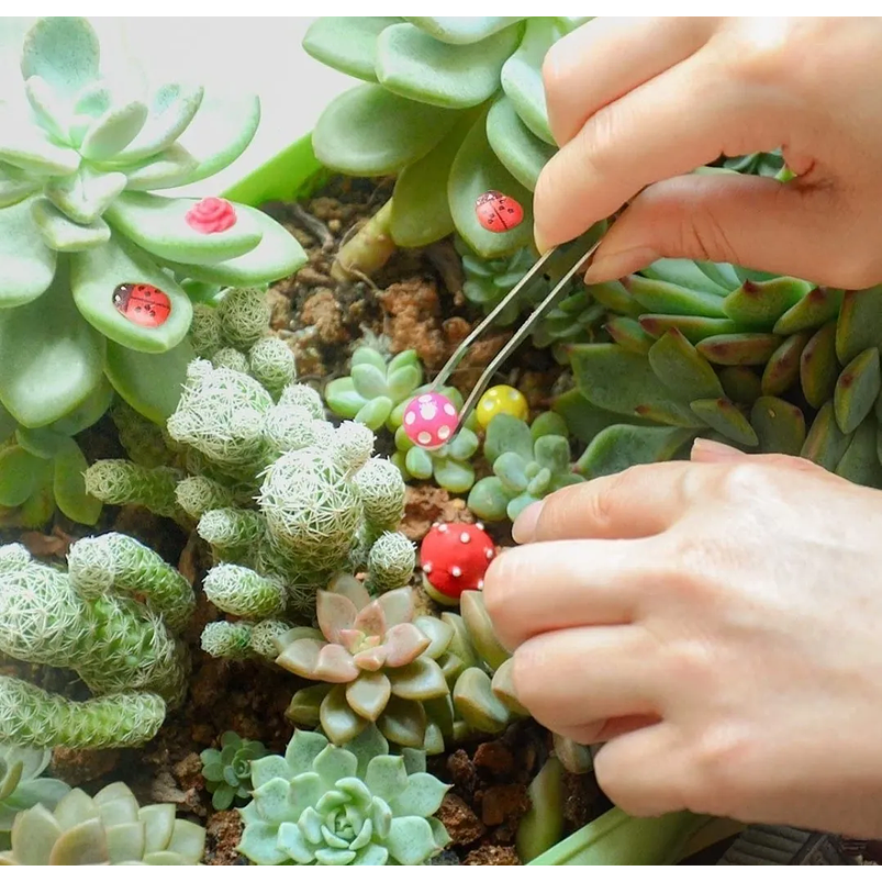 Mini Kit Jardín Decorativo Hadas Terrario Suculentas x100 Piezas  2