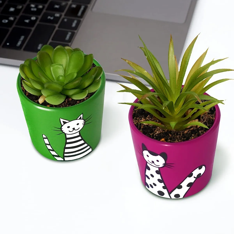 Juego Macetas Cerámica x6 Unidades Gatos En Colores Redonda 2