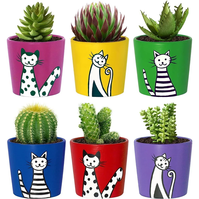 Juego Macetas Cerámica x6 Unidades Gatos En Colores Redonda 1