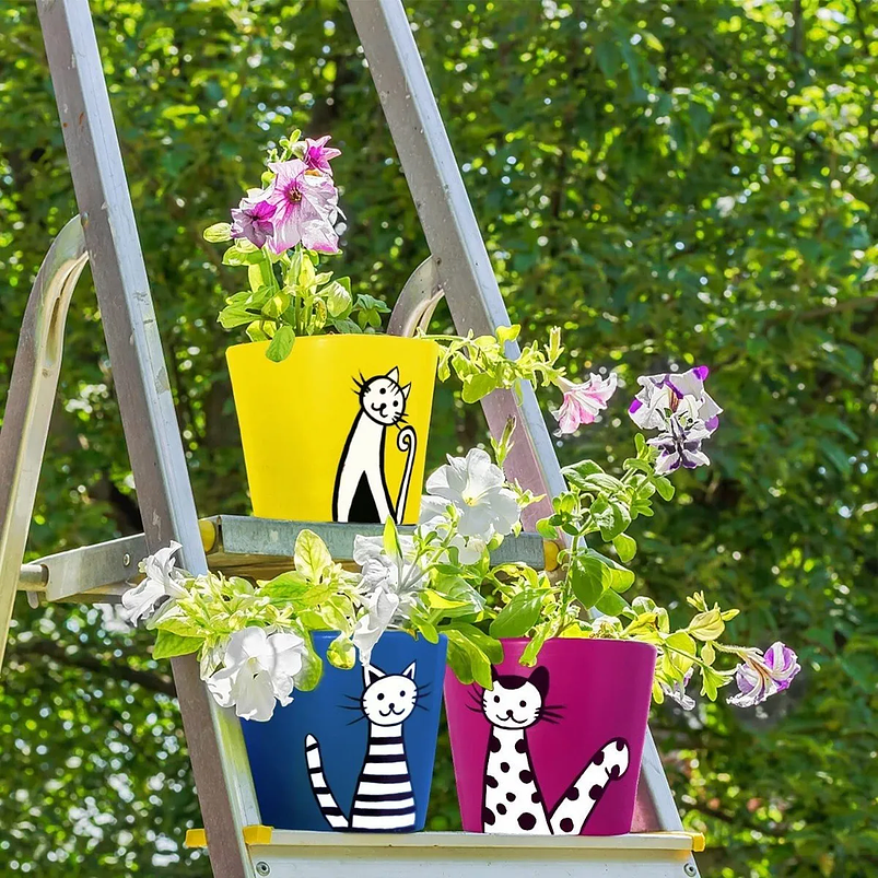 Juego Macetas Cerámica x6 Unidades Gatos En Colores Redonda 5