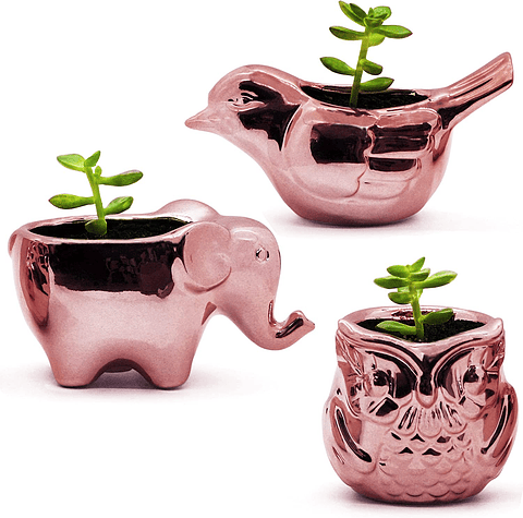 Juego Macetas Premium x3 Unidades Cerámica Oro Rosa Suculentas