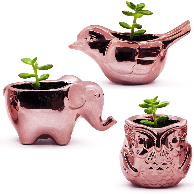 Juego Macetas Premium x3 Unidades Cerámica Oro Rosa Suculentas 1