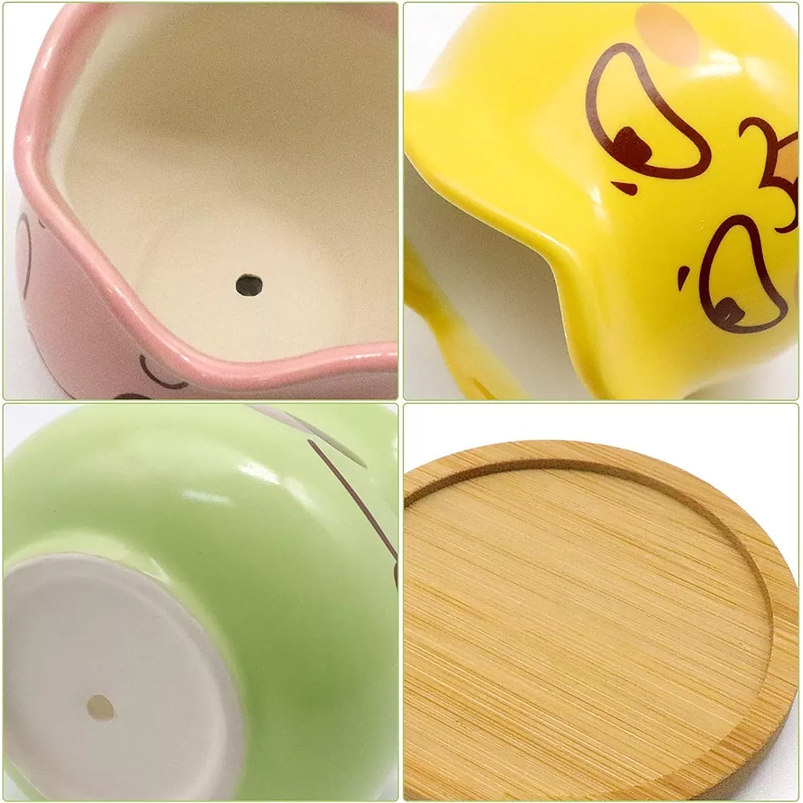 Juego Macetas en Cerámica Premium x6 para Cactus y Suculentas 5