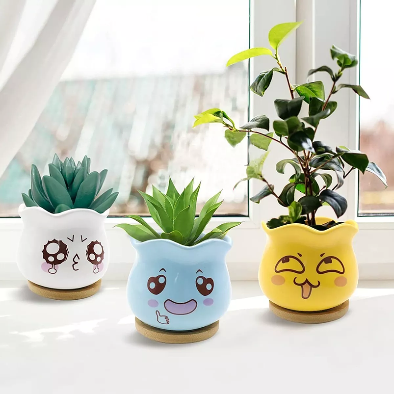 Juego Macetas en Cerámica Premium x6 para Cactus y Suculentas 2