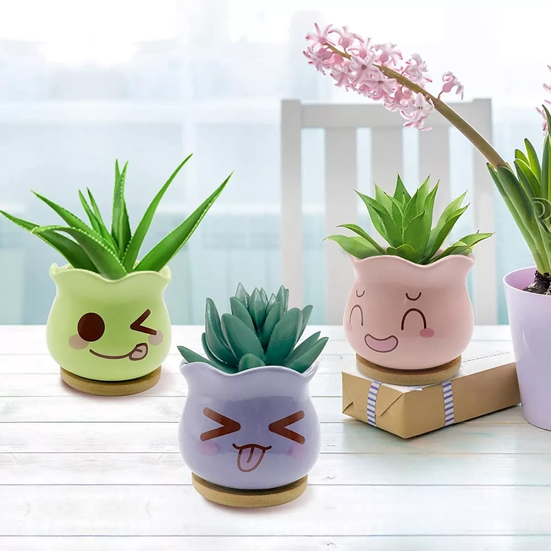 Juego Macetas en Cerámica Premium x6 para Cactus y Suculentas 3