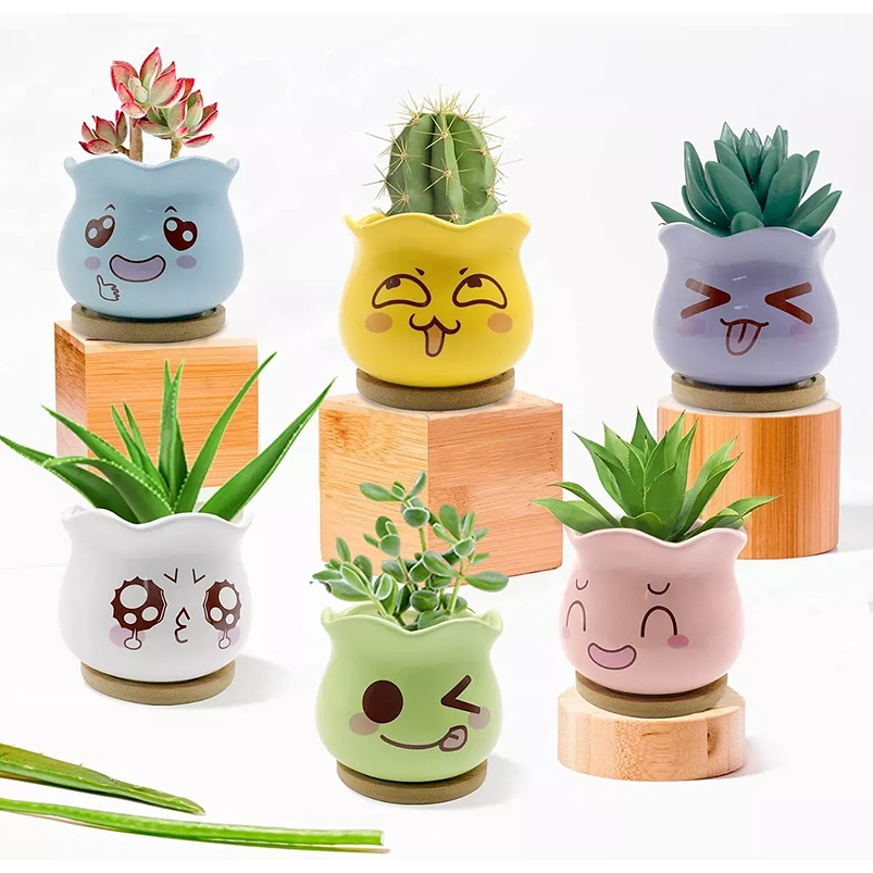 Juego Macetas en Cerámica Premium x6 para Cactus y Suculentas 1