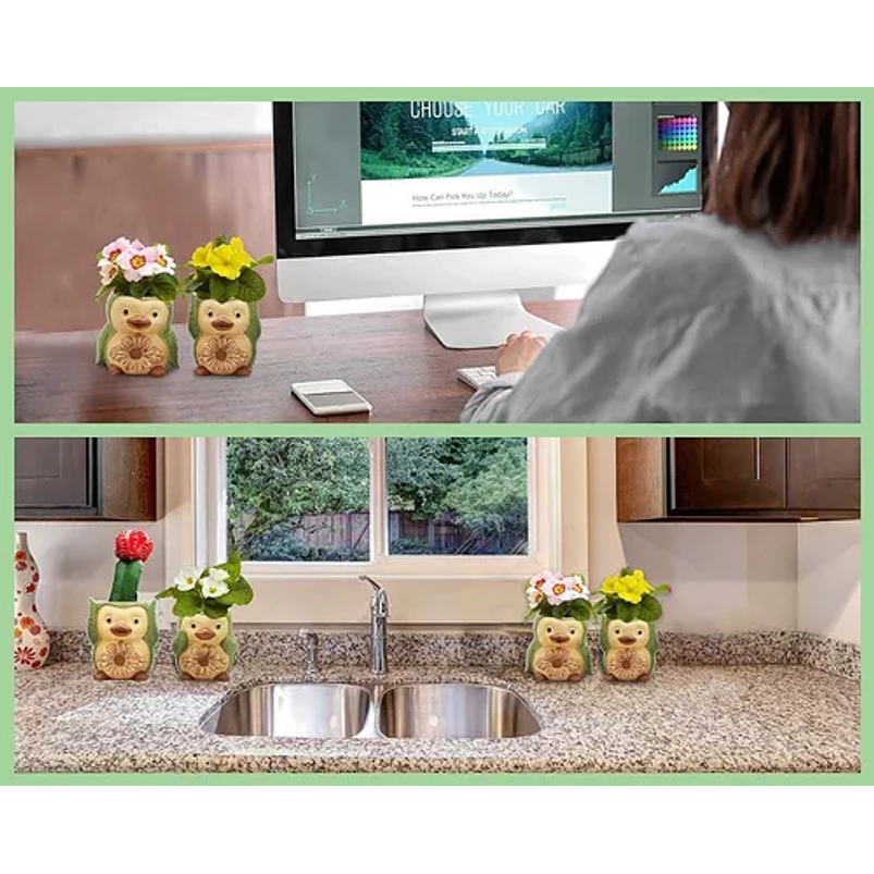 Juego De Macetas x4 Unidades Diseño Animal Premium Verde 5